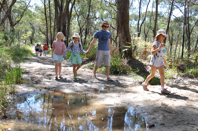 Primary bushwalk